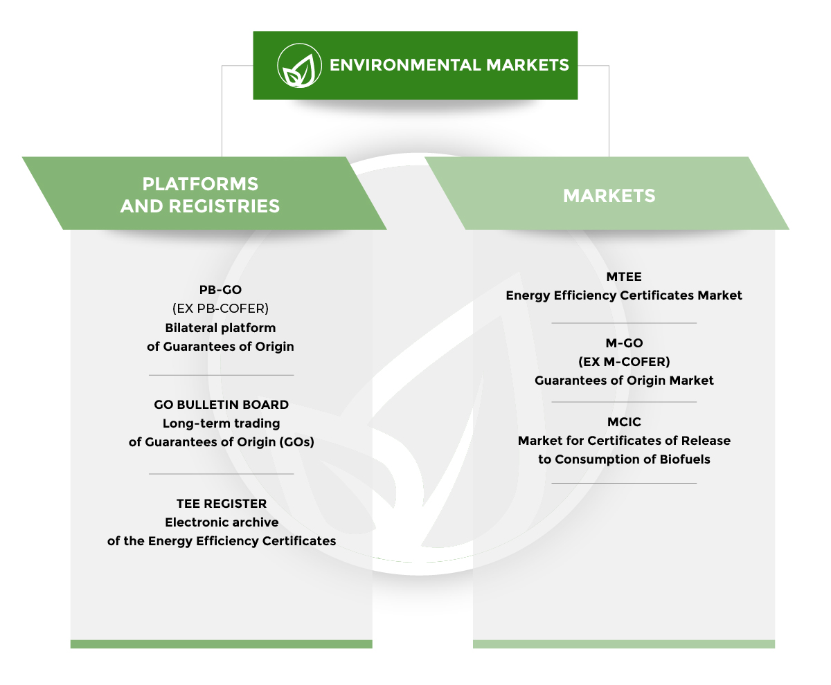 Image representing the subdivision of the Environment Market between Platforms and Registers, and the Markets. The Platforms and Registries include PB-GO and the TEE Registry, while the MTEE, M-GO and MCIC are part of the Markets category